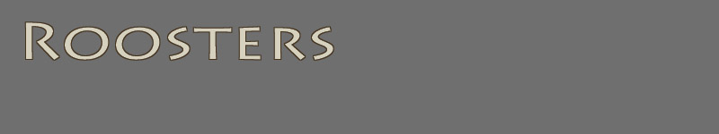 Roosters - Luciano De Tommaso casting sculptor